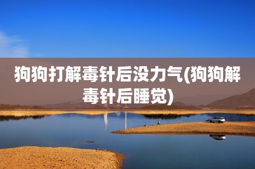 狗狗打解毒针后没力气(狗狗解毒针后睡觉)
