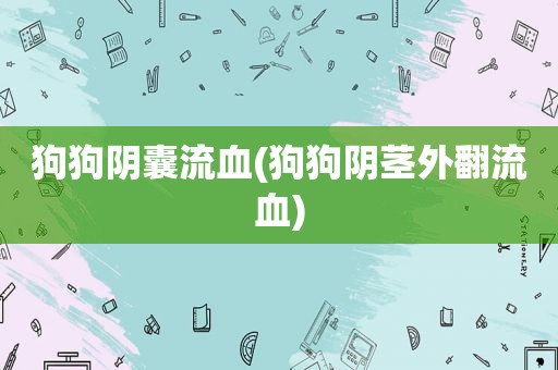 狗狗阴囊流血(狗狗 *** 外翻流血)