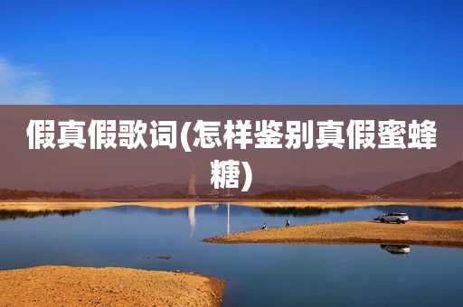 假真假歌词(怎样鉴别真假蜜蜂糖)
