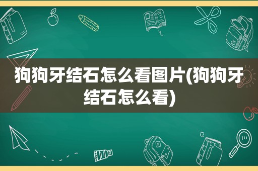 狗狗牙结石怎么看图片(狗狗牙结石怎么看)