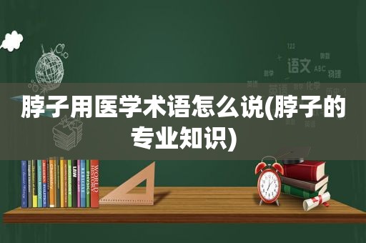 脖子用医学术语怎么说(脖子的专业知识)