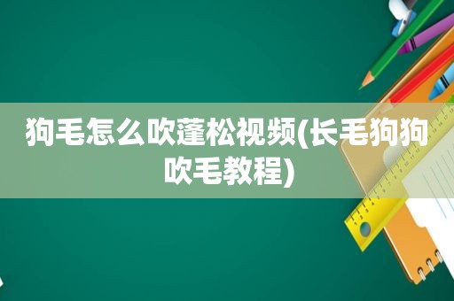 狗毛怎么吹蓬松视频(长毛狗狗吹毛教程)