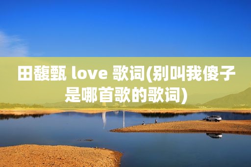 田馥甄 love 歌词(别叫我傻子是哪首歌的歌词)