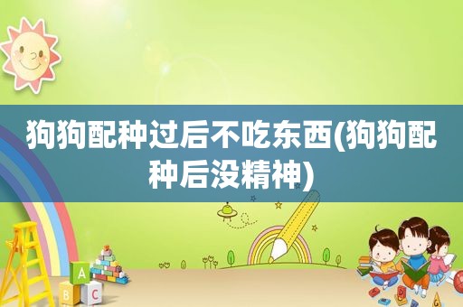 狗狗配种过后不吃东西(狗狗配种后没精神)