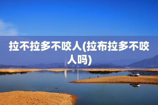 拉不拉多不咬人(拉布拉多不咬人吗)