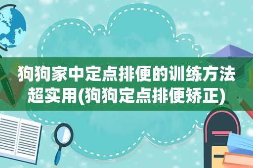 狗狗家中定点排便的训练方法超实用(狗狗定点排便矫正)