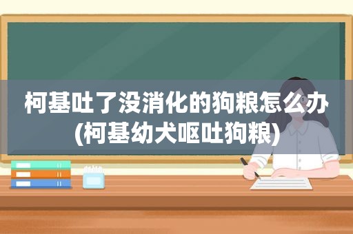 柯基吐了没消化的狗粮怎么办(柯基幼犬呕吐狗粮)