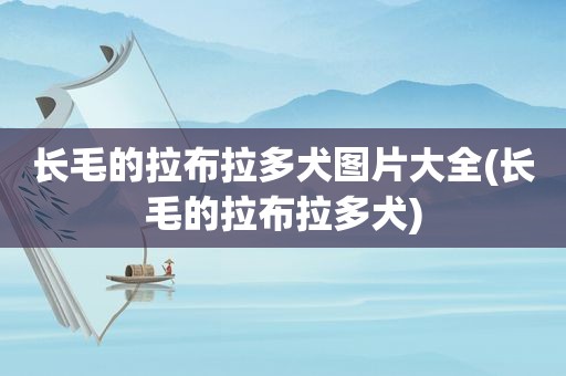 长毛的拉布拉多犬图片大全(长毛的拉布拉多犬)