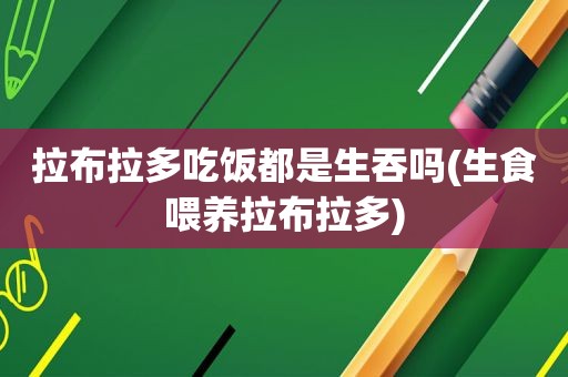 拉布拉多吃饭都是生吞吗(生食喂养拉布拉多)