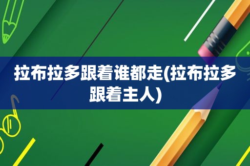 拉布拉多跟着谁都走(拉布拉多跟着主人)
