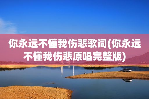 你永远不懂我伤悲歌词(你永远不懂我伤悲原唱完整版)