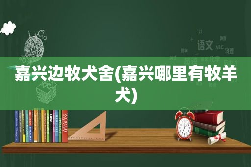 嘉兴边牧犬舍(嘉兴哪里有牧羊犬)