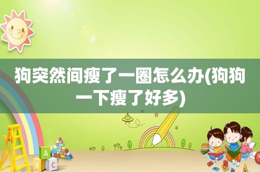 狗突然间瘦了一圈怎么办(狗狗一下瘦了好多)