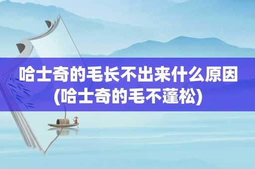 哈士奇的毛长不出来什么原因(哈士奇的毛不蓬松)