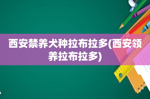 西安禁养犬种拉布拉多(西安领养拉布拉多)