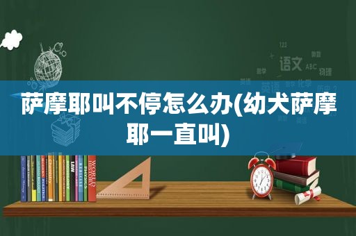 萨摩耶叫不停怎么办(幼犬萨摩耶一直叫)