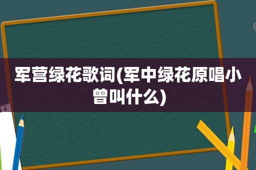 军营绿花歌词(军中绿花原唱小曾叫什么)
