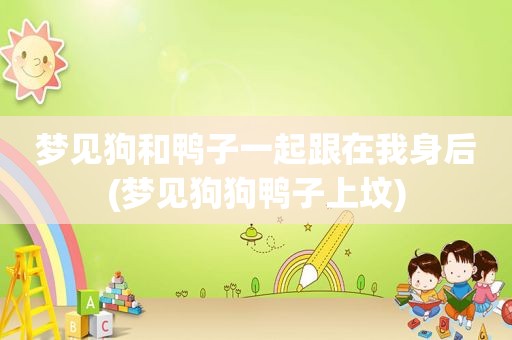 梦见狗和鸭子一起跟在我身后(梦见狗狗鸭子上坟)