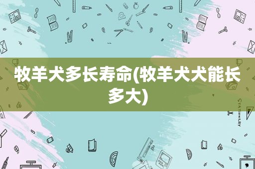 牧羊犬多长寿命(牧羊犬犬能长多大)