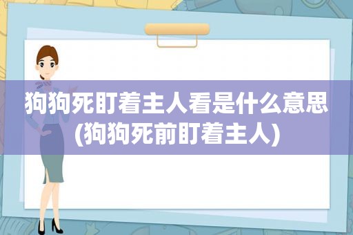 狗狗死盯着主人看是什么意思(狗狗死前盯着主人)