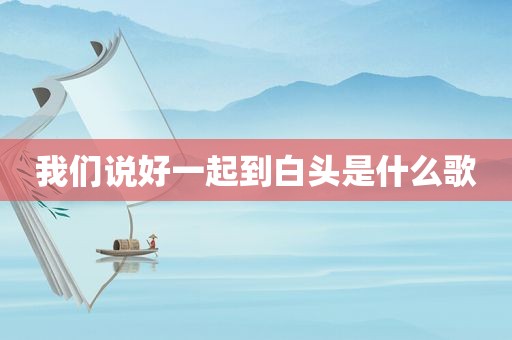 我们说好一起到白头是什么歌
