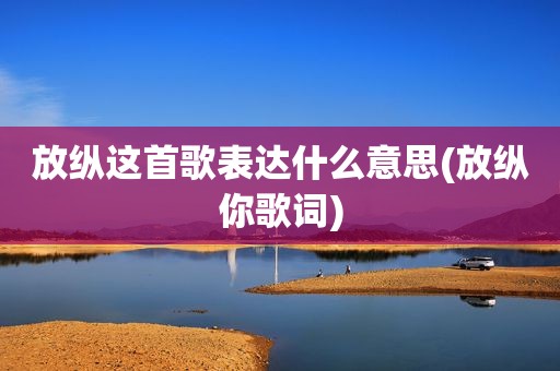 放纵这首歌表达什么意思(放纵你歌词)
