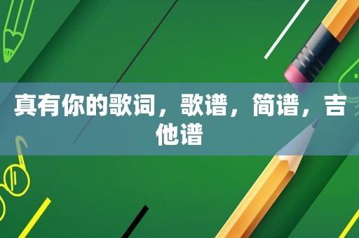 真有你的歌词，歌谱，简谱，吉他谱
