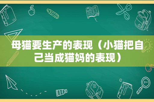 母猫要生产的表现（小猫把自己当成猫妈的表现）