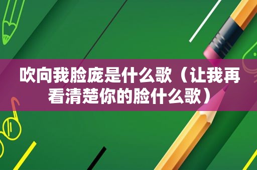吹向我脸庞是什么歌（让我再看清楚你的脸什么歌）