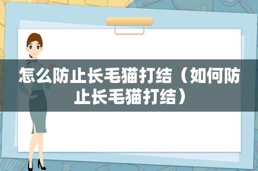 怎么防止长毛猫打结（如何防止长毛猫打结）