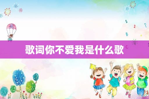 歌词你不爱我是什么歌