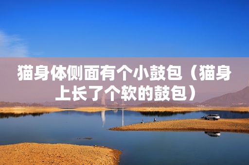 猫身体侧面有个小鼓包（猫身上长了个软的鼓包）