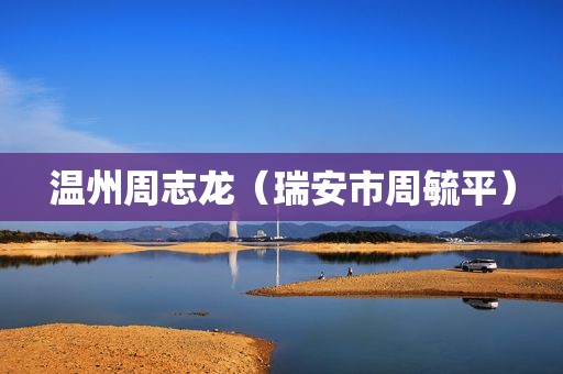 温州周志龙（瑞安市周毓平）