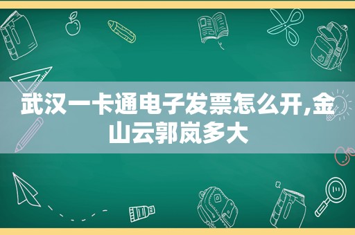 武汉一卡通电子发票怎么开,金山云郭岚多大