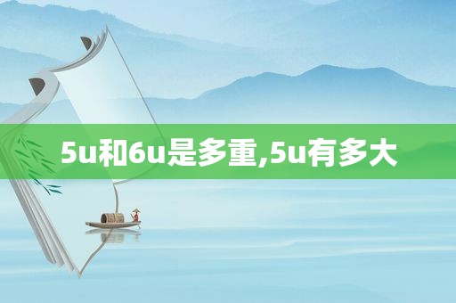 5u和6u是多重,5u有多大