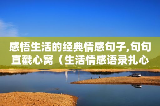 感悟生活的经典情感句子,句句直戳心窝（生活情感语录扎心）
