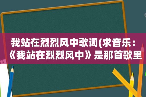 我站在烈烈风中歌词(求音乐：《我站在烈烈风中》是那首歌里的)