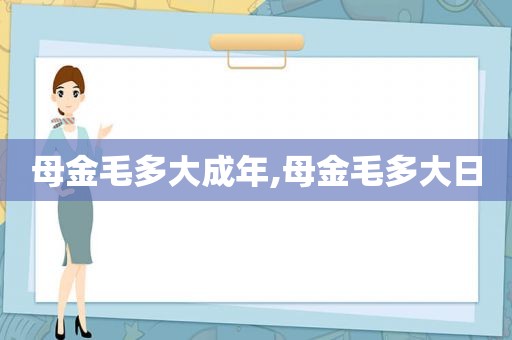 母金毛多大成年,母金毛多大日
