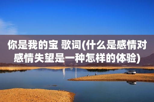 你是我的宝 歌词(什么是感情对感情失望是一种怎样的体验)