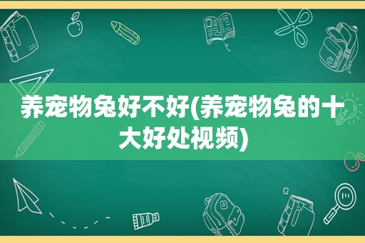 养宠物兔好不好(养宠物兔的十大好处视频)
