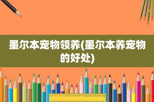 墨尔本宠物领养(墨尔本养宠物的好处)