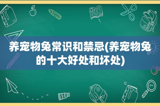 养宠物兔常识和禁忌(养宠物兔的十大好处和坏处)