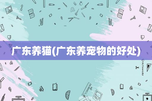 广东养猫(广东养宠物的好处)