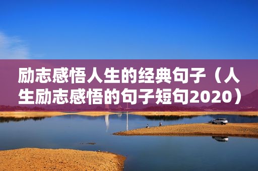 励志感悟人生的经典句子（人生励志感悟的句子短句2020）