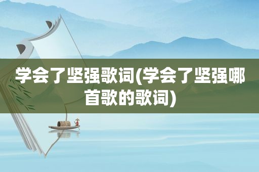 学会了坚强歌词(学会了坚强哪首歌的歌词)
