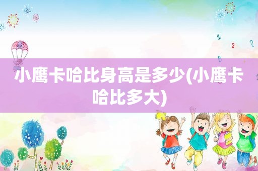 小鹰卡哈比身高是多少(小鹰卡哈比多大)