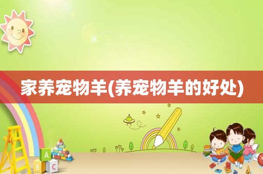 家养宠物羊(养宠物羊的好处)