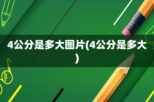 4公分是多大图片(4公分是多大)