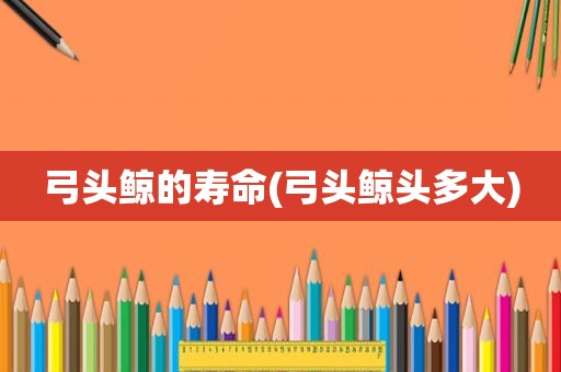 弓头鲸的寿命(弓头鲸头多大)