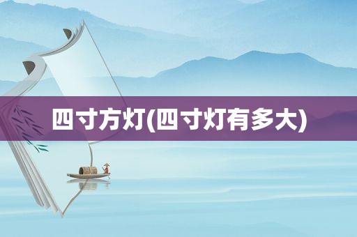 四寸方灯(四寸灯有多大)
